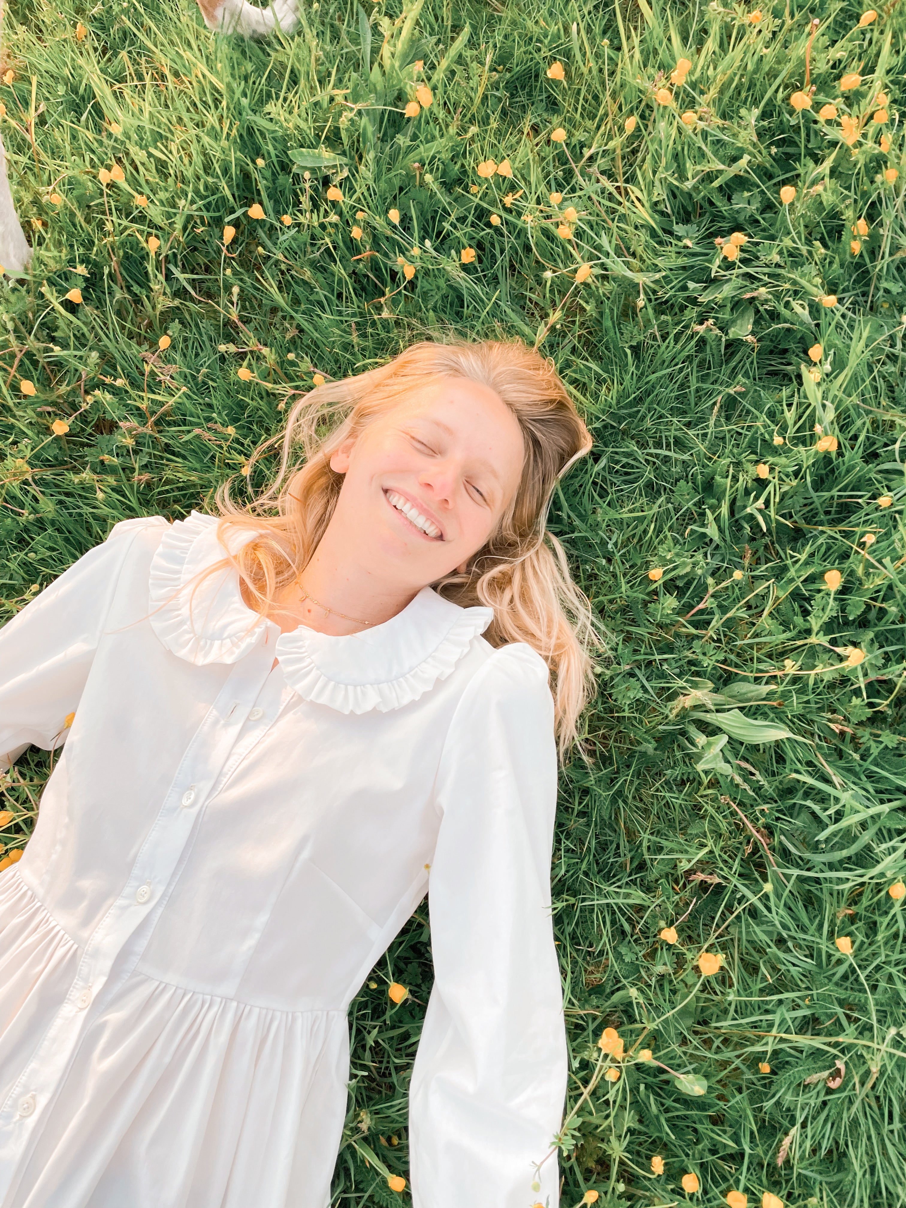 Darcy Dress in White Cotton