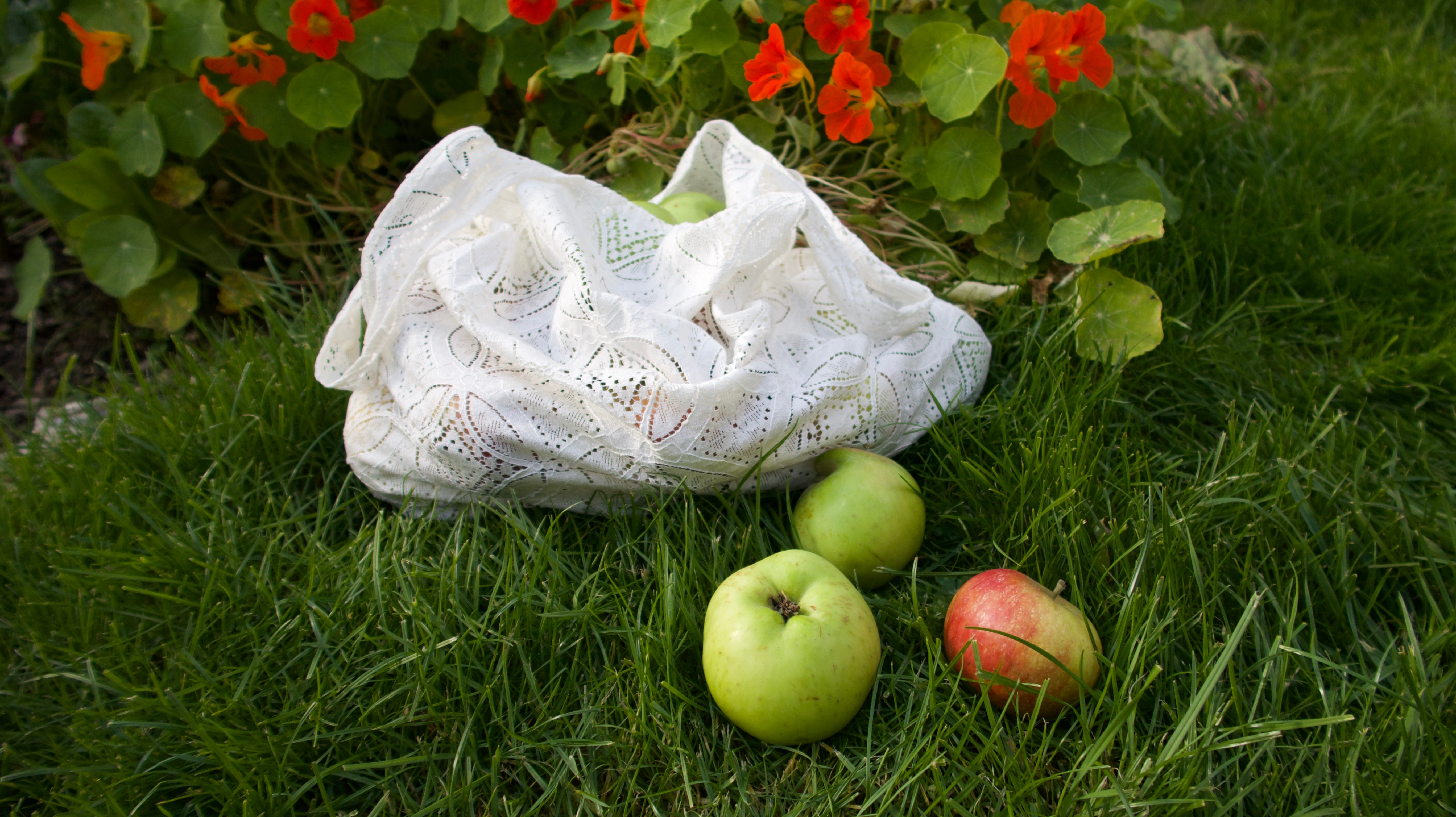 Lace Shopper